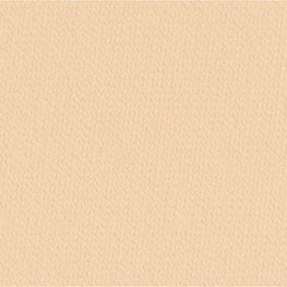 Le Blanc Compact Foundation - B10