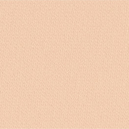 Le Blanc Compact Foundation (Refill) - BR22