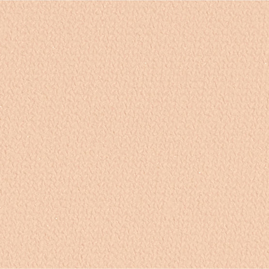 Le Blanc Compact Foundation (Refill) - BR22