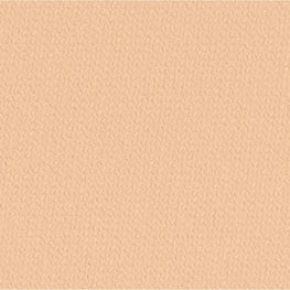 Le Blanc Compact Foundation (Refill) - B30