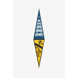 Men Baseball Flag - Duck Blue