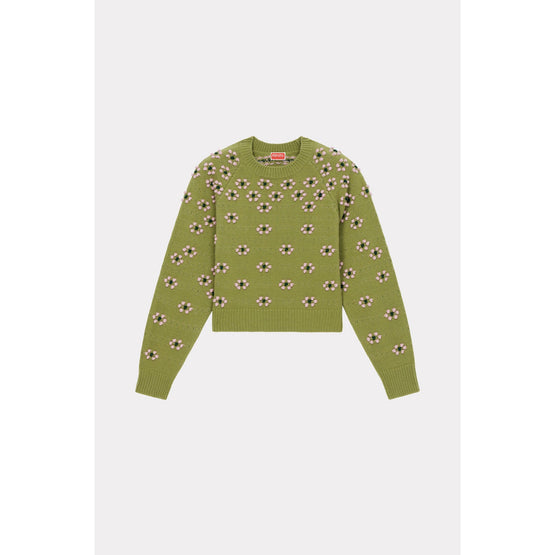 Women Popcorn Fairisle Jumper - Green