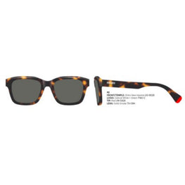Men Lunette De Soleil - Dark Brown